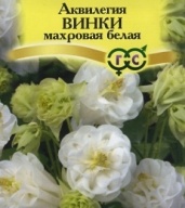 Аквилегия Винки махровая белая "Гавриш"