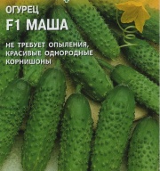 Огурец F1 Маша "АгроЭлита"