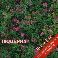Люцерна "Русский Огород"