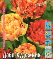 Тюльпан хамелеон-махровый  Дабл Художник