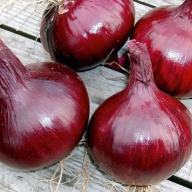 Лук