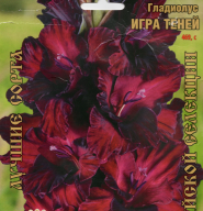 Гладиолус Игра Теней