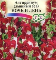Львиный зев Ночь и день "Гавриш"