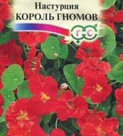 Настурция Король гномов "Гавриш"