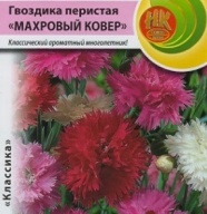 Гвоздика перистая Махровый ковер "Русский Огород"