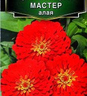 Цинния изящная Мастер алая "Аэлита"
