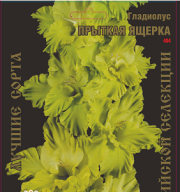 Гладиолус Прыткая Ящерка