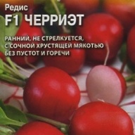 Редис F1 Черриэт  "Гавриш"