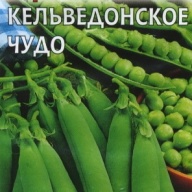 Горох Кельведонское чудо "Гавриш"