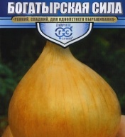 Лук репчатый Богатырская сила "Гавриш"