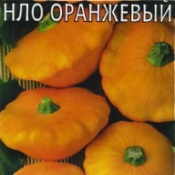 Патиссон НЛО оранжевый "Гавриш"