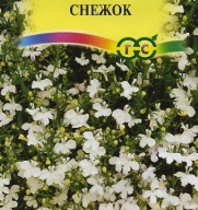 Лобелия Снежок "Гавриш"