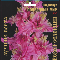 Гладиолус Подводный мир 