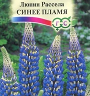 Люпин Рассела Синее пламя "Гавриш"