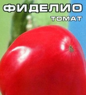 Томат Фиделио "Сибирский сад"