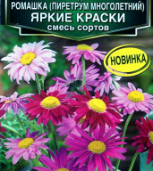 Пиретрум Яркие краски  "Аэлита"