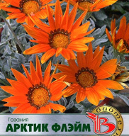 Газания  Арктик Флэйм "Биотехника"
