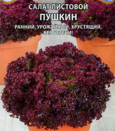 Салат листовой Пушкин "Premium Seeds"