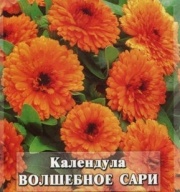 Календула Волшебное сари "Гавриш"