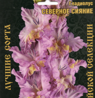 Гладиолус Северное сияние  