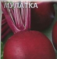 Свекла Мулатка "Гавриш"