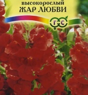 Львиный зев высокорослый Жар любви  "Гавриш"