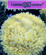 Астра Баллон желтый  "Гавриш"