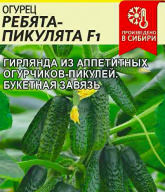 Огурец Ребята-Пикулята F1  "семена Алтая"