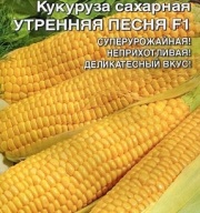 Кукуруза сахарная Утренняя песня F1 "Гавриш"