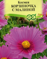 Космея Корзиночка с малиной "Гавриш"