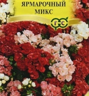 Флокс Друммонда Ярмарочный микс  "Гавриш"