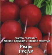 Редис Гусар "Гавриш"