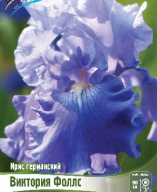 Ирис германский Виктория Фоллс 
