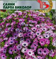 Остеоспермум Санни Парпл Биколор "Биотехника"