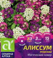 Алиссум морской Магический ковер "семена Алтая"