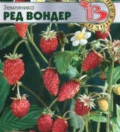 Земляника Ред Вондер "Биотехника"