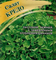 Салат Кредо "Гавриш"