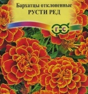 Бархатцы отклоненные Русти Ред "Гавриш"