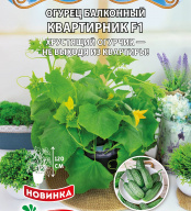 Огурец балконный Квартирник F1 "Premium Seeds"