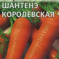 Морковь Шантенэ Королевская "Гавриш"