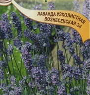 Лаванда узколистная Вознесенская 34 "Гавриш"