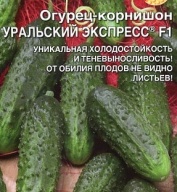 Огурец - корнишон Уральский экспресс  F1 "Уральский дачник"