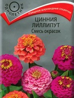Цинния Лиллипут "Поиск"