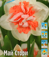 Нарцисс махровый Май Стори 