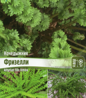 Кочедыжник Фризелли