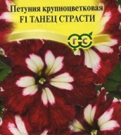 Петуния крупноцветковая F1 Танец страсти "Гавриш"