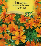 Бархатцы отклоненные  Румба "Гавриш"
