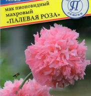 Мак пионовидный махровый "Палевая роза" "Престиж семена"