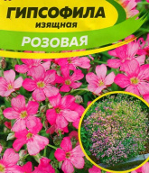 Гипсофила изящная Розовая "семена Алтая"