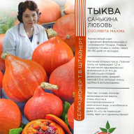 Тыква Санькина любовь "Уральский дачник"